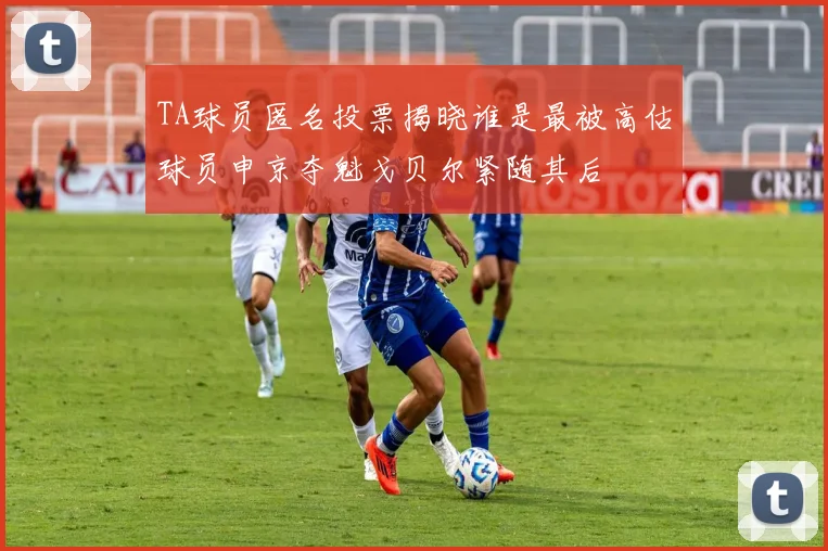 TA球员匿名投票揭晓谁是最被高估球员申京夺魁戈贝尔紧随其后
