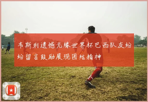 韦斯利遗憾无缘世界杯巴西队友纷纷留言鼓励展现团结精神